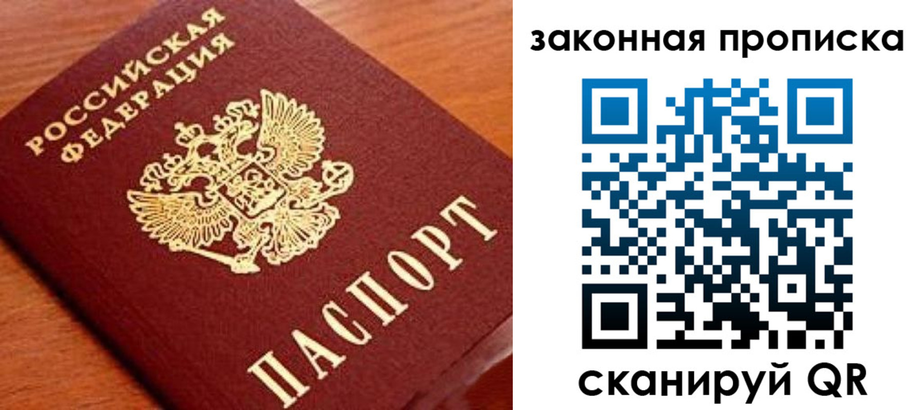 прописка в Сланцах